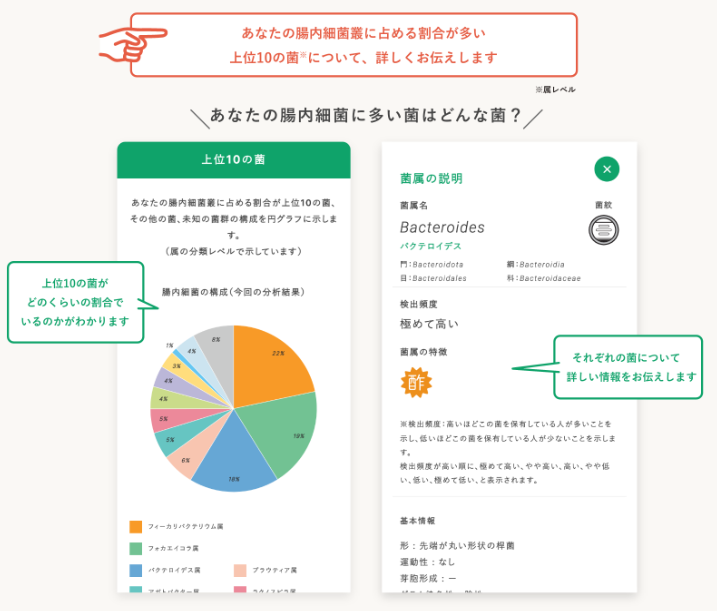 割合の多い上位10種類の菌の結果