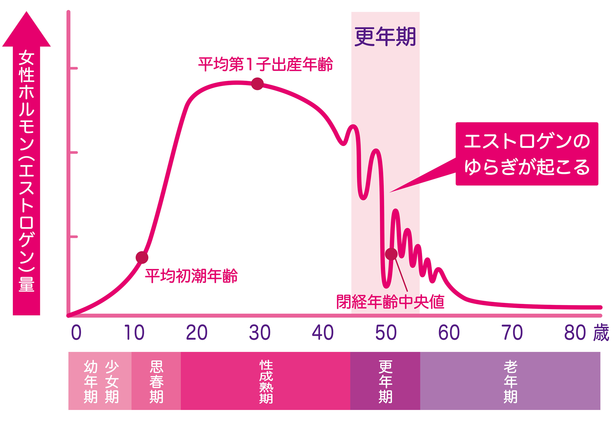 女性ホルモンの変化